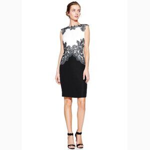 Tadashi Shoji Falcon Feather Lace Sheath Dress